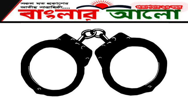 পত্রিকার নকল ওয়েবসাইট তৈরির অভিযোগে গ্রেপ্তার ২