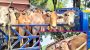 বড়শলা বাইপাস এলাকায় চোরাই তিন পিকআপ ভর্তি গরু উদ্ধার