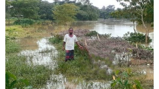 বন্যার পানিতে তলিয়ে গেছে মিন্নাত আলীর স্বপ্ন