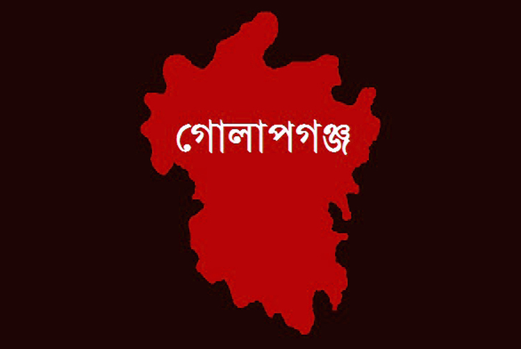 গোলাপগঞ্জে প্রবাসীর বাড়ী দখলের অভিযোগ