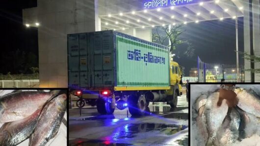 ১৫২৫ টাকা কেজি দরে ভারতে পাঠানো হলো ইলিশ