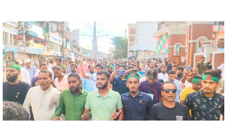 সিলেটে মহানগর বিএনপির বর্ণাঢ্য বিজয় র‌্যালি, হাজারো নেতাকর্মীর ঢল