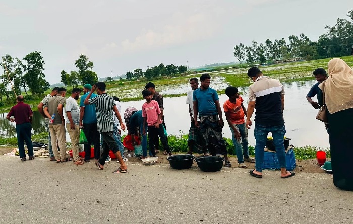 সড়কের পাশে হাওড়ের টাটকা মাছ